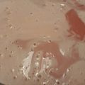 El cooksnap de Solsire Mansilla cuando hizo Postre de gelatina fácil y light.