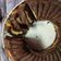 Cooksnap dari Hilda Dawood untuk resep Chocolate Creamcheese Butter Cake