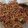 Cooksnap dari Dian Permata Sari untuk resep Kering tempe pedes manis