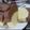 Cooksnap dari Lucia Kurniawati untuk resep 97. Tiramisu Steam Cake Keto