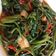 Cooksnap dari Mrsorz untuk resep Tumis Kangkung Terasi Pedas