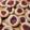 El cooksnap de noeliagutierrez086 cuando hizo Masitas pepas con dulce de membrillo 😊.