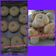 Cooksnap dari tetty kadi untuk resep 32.Donat Ekonomis dan Lembut
