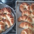 El cooksnap de Terecoty cuando hizo Medialunas de manteca.