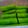 Cooksnap dari iyen serlia untuk resep Dadar gulung pandan unti kelapa