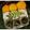 Jenny Nikunj Mehta's cooksnap of when they made ત્રિરંગી ઈડલી...