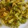 El cooksnap de Tupiwampy’s Cooking cuando hizo Penne con brócoli en salsa de cúrcuma.
