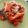 El cooksnap de astrid badia cuando hizo Rigatoni con chorizo y tomate.
