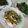 รูป Cooksnap ของ Wuttipat Chaesuwan เมื่อเขาทำ ยำไข่เค็ม