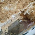 Cooksnap από anthoula στη συνταγή Γλυκό ψυγείου με καραμελωμένο ζαχαρούχο