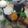 Cooksnap dari sri why untuk resep Sayur Sop Kimlo