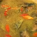 Cooksnap dari Mami Adis untuk resep Pindang Tongkol Kuah Kuning