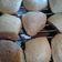 El cooksnap de Sandra Farfalla cuando hizo Galletitas de cacao (puede ser sin horno).