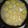 El cooksnap de Dalia patricia Pizzi cuando hizo Scons.