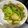 蘇珵 的 金鉤蝦炒高麗菜苗 cooksnap