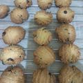 Cooksnap dari faradiani putri untuk resep Oat Cookies