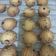 Cooksnap dari faradiani putri untuk resep Oat Cookies