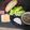 Cooksnap của Nhà Vân khi họ làm theo món Pate gan