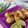 Cooksnap dari 🍒 Aiu Pu3 🍒 untuk resep Takoyaki ekonomis