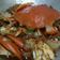Cooksnap dari Mia Truly R untuk resep Kepiting Saus Padang Alamia