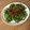 El cooksnap de Eduardo Agudo Alba cuando hizo Tartar de salmón o atún con helado de wasabi.