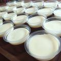 Cooksnap dari Herfina Umasangadji untuk resep Choco Silky Puding