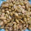 Farzana Memon 's cooksnap of when they made Holay.