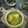 Cooksnap Nur Nadiah semasa beliau membuat Gulai tempoyak keladi.
