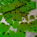 Cooksnap dari Alistia Silviana Sari untuk resep Kue ulat,caterpilar