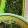 Cooksnap dari tiens 80 untuk resep Tumis Pedas Kembang Genjer, Kacang Panjang Plus Tauco Sedap