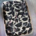 Cooksnap dari syfdiani untuk resep Puding Oreo