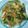Echo Chen 的 金菇青江菜 cooksnap
