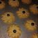Cooksnap dari Bryan Liem untuk resep Kue Semprit Dahlia