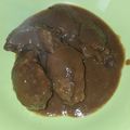 El cooksnap de Fernando Rubio Aral cuando hizo Carrilladas (carrilleras) en salsa de vino.