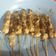 Cooksnap dari chomsiatun untuk resep Sate Taichan Simpel
