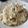El cooksnap de patri87 cuando hizo Risotto de portobello.