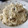 El cooksnap de patri87 cuando hizo Risotto de portobello.