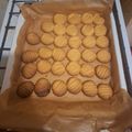 Tamon Lászlóné Cooksnap-ja, amikor elkészítette a(z) Pudingos keksz receptet.
