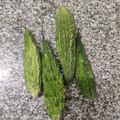 Kirtana Pathak's cooksnap of when they made કારેલા નું શાક (Karela Shak Recipe In Gujarati).