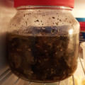 El cooksnap de Lorena Borgensen cuando hizo Berenjenas al escabeche!.