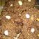 Cooksnap dari Ummu Uwais untuk resep Kue Kering Kacang Coklat Cookies No Tepung