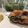 Diana Nelson's cooksnap of when they made Stuffed Salmon.