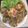 Cooksnap dari Bu Put (Putri Rahayu) untuk resep Bakwan Pontianak