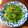 Lin Shu Jhen 的 蝦醬空心菜 cooksnap