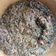 Nafisat Kitchen's cooksnap of when they made Miyar zogale.