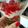 Kata Baksa Cooksnap-ja, amikor elkészítette a(z) Epres joghurtos pohárkrém... 🍓 receptet.