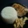 Cooksnap dari Evy Mayasari untuk resep Nasi hainan 