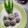Cooksnap dari Rona Ve untuk resep Klepon ubi orange