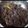Mamoni Banerjee's cooksnap of when they made লাল শাক ঘন্ট(lal shak ghonto recipe in Bengali).