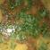 Dipika Bhalla's cooksnap of when they made અડદની દાળ(adad daal recipe in gujarati).